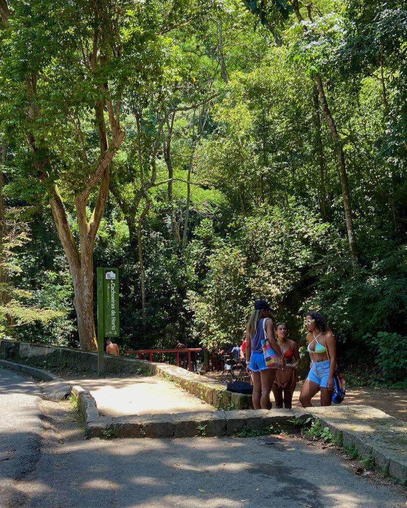 Cachoeira Do Horto A De Mais F Cil Acesso No Rio De Janeiro