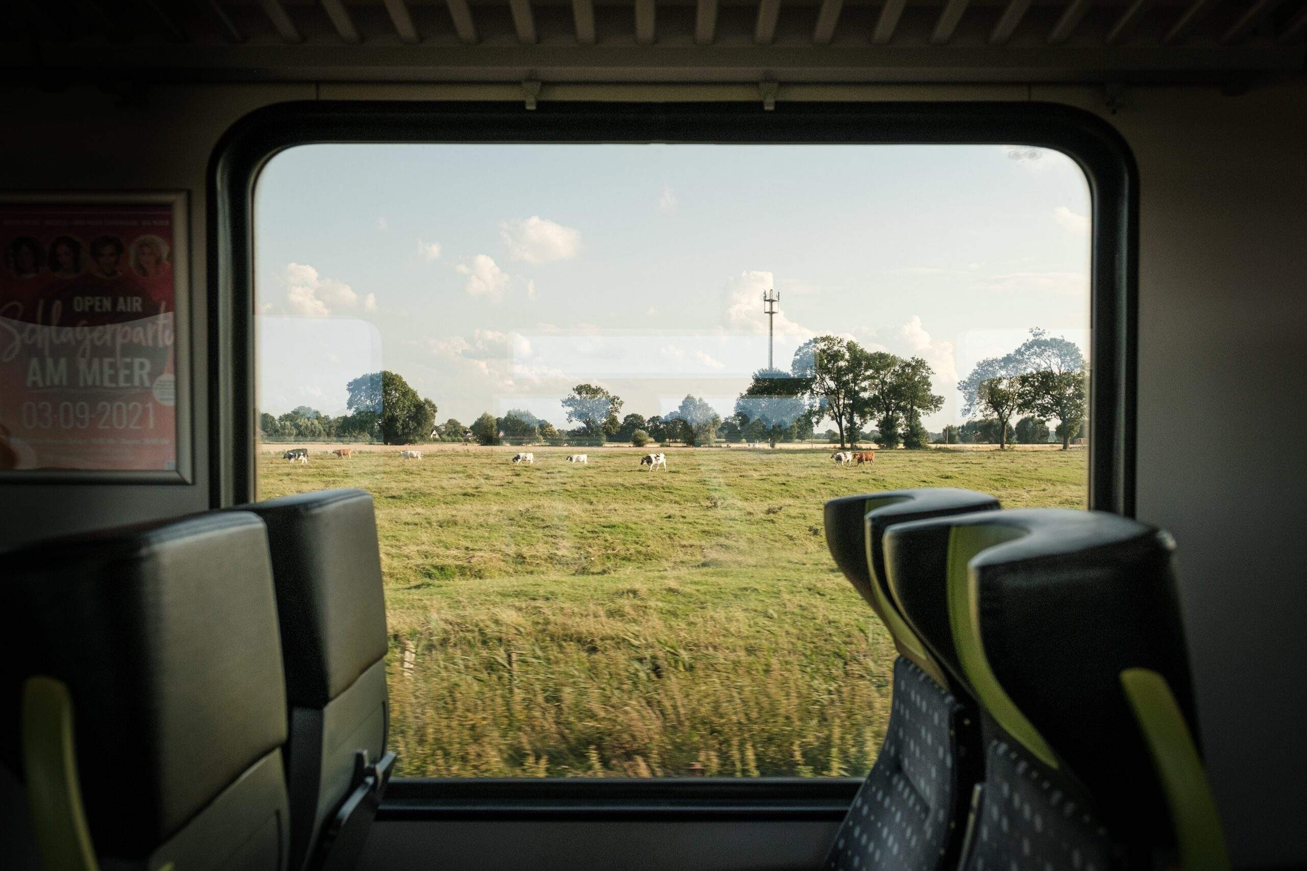 Janela de trem com vista para campo gramado.